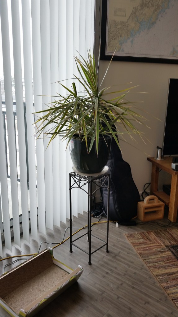 This is my current, temporary solution.